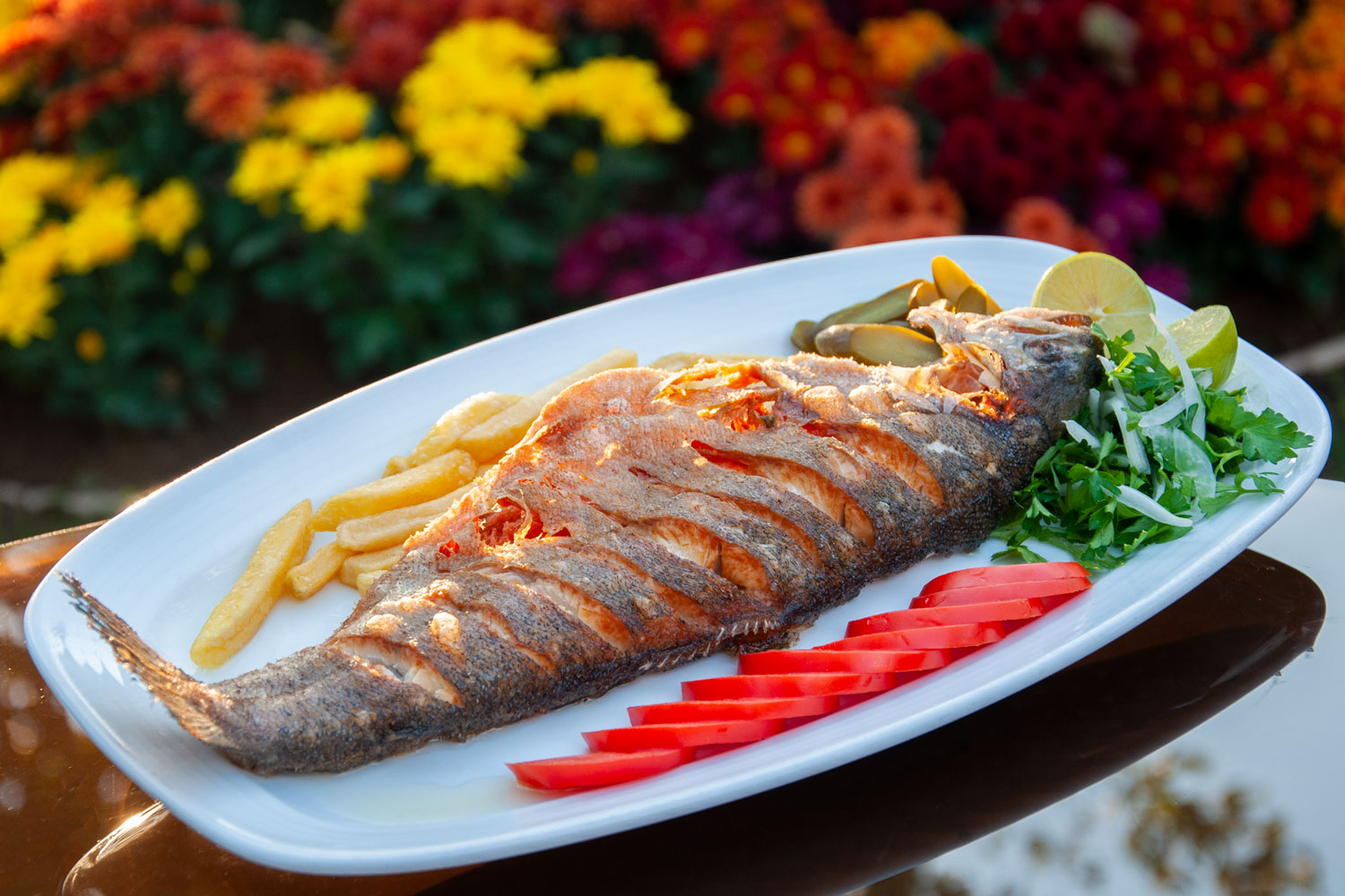 خوراک ماهی قزل آلا